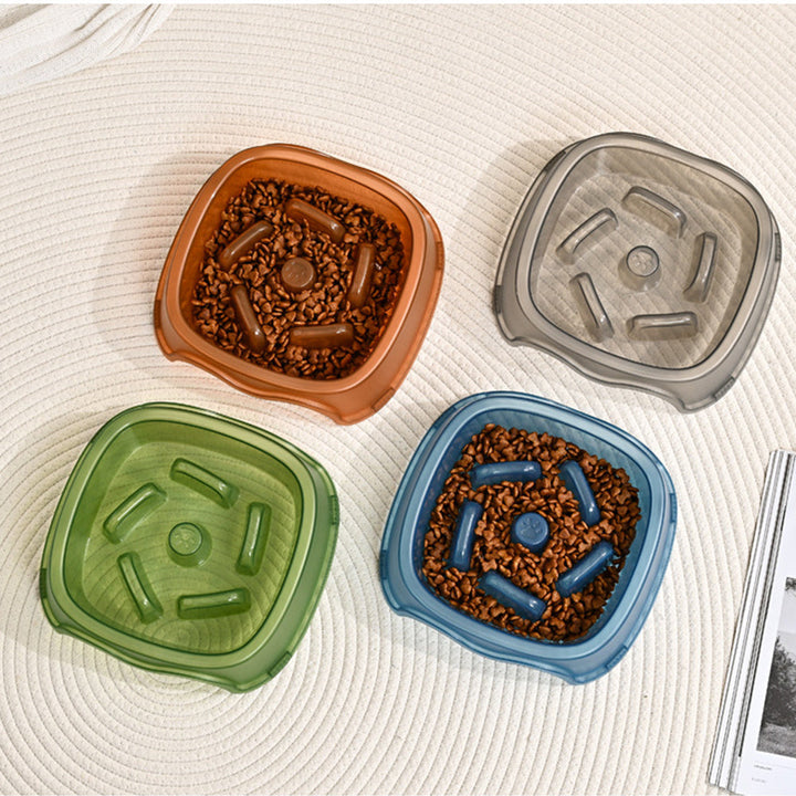 Enhance Your Pet's Feeding Experience with Our Anti Choke Pet Slow Feeding Water Bowl