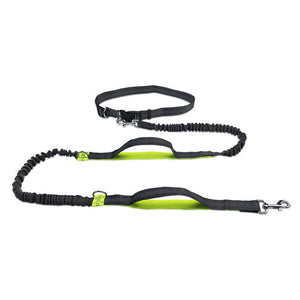 Adjustable Jogging Pet Harness Leash: The Perfect Companion for Active Pets