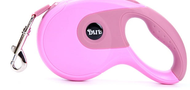 Explore the Freedom of the 5M Pet Leash