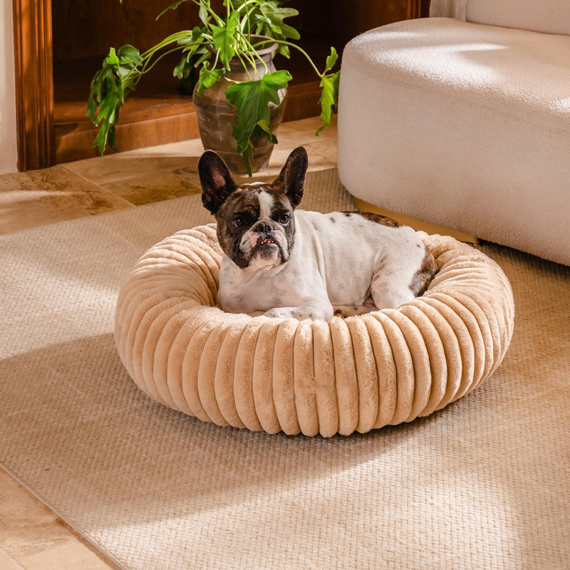 The Ultimate Winter Comfort for Your Furry Friends