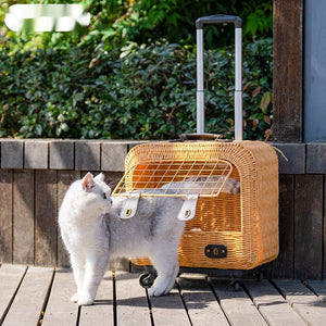 Discover the Ultimate Pet Woven Rattan Ventilated Carrier Bag